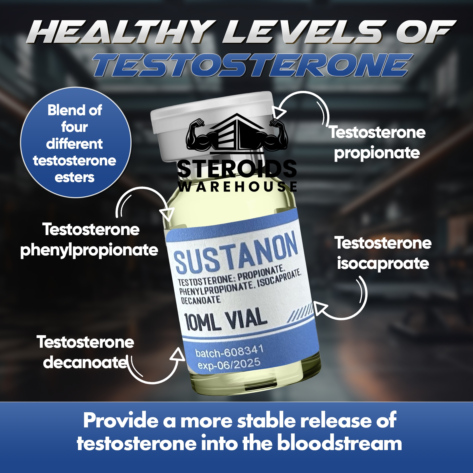 Buy Sustanon - Image 4
