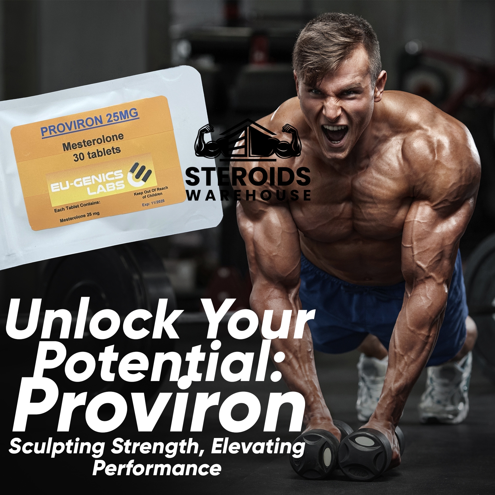 Buy Proviron - Image 6